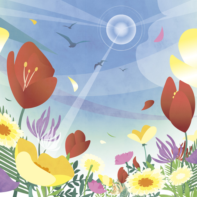 五行エレメンツ お客様の声 尾群けい様 ■完成五行エレメンツ