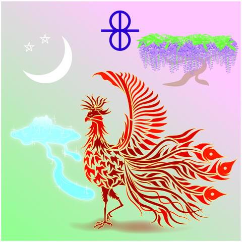 5Eve お客様に聞く-五十子 牧子さん(55歳) 5Eveへの感想