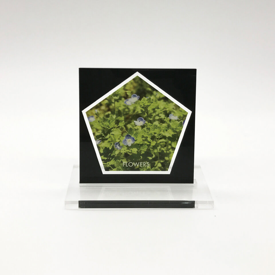 写真のモチーフ